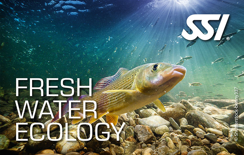 Freshwater Ecology