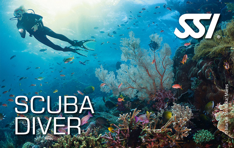 SSI Back in the Water After Years Away certification card